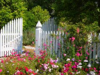 plantes portail amenagement jardin