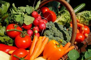 potager en juin