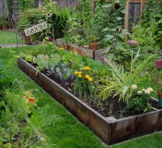 potager jardin en longueur idee