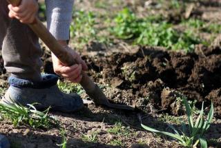 preparation sol pour potager