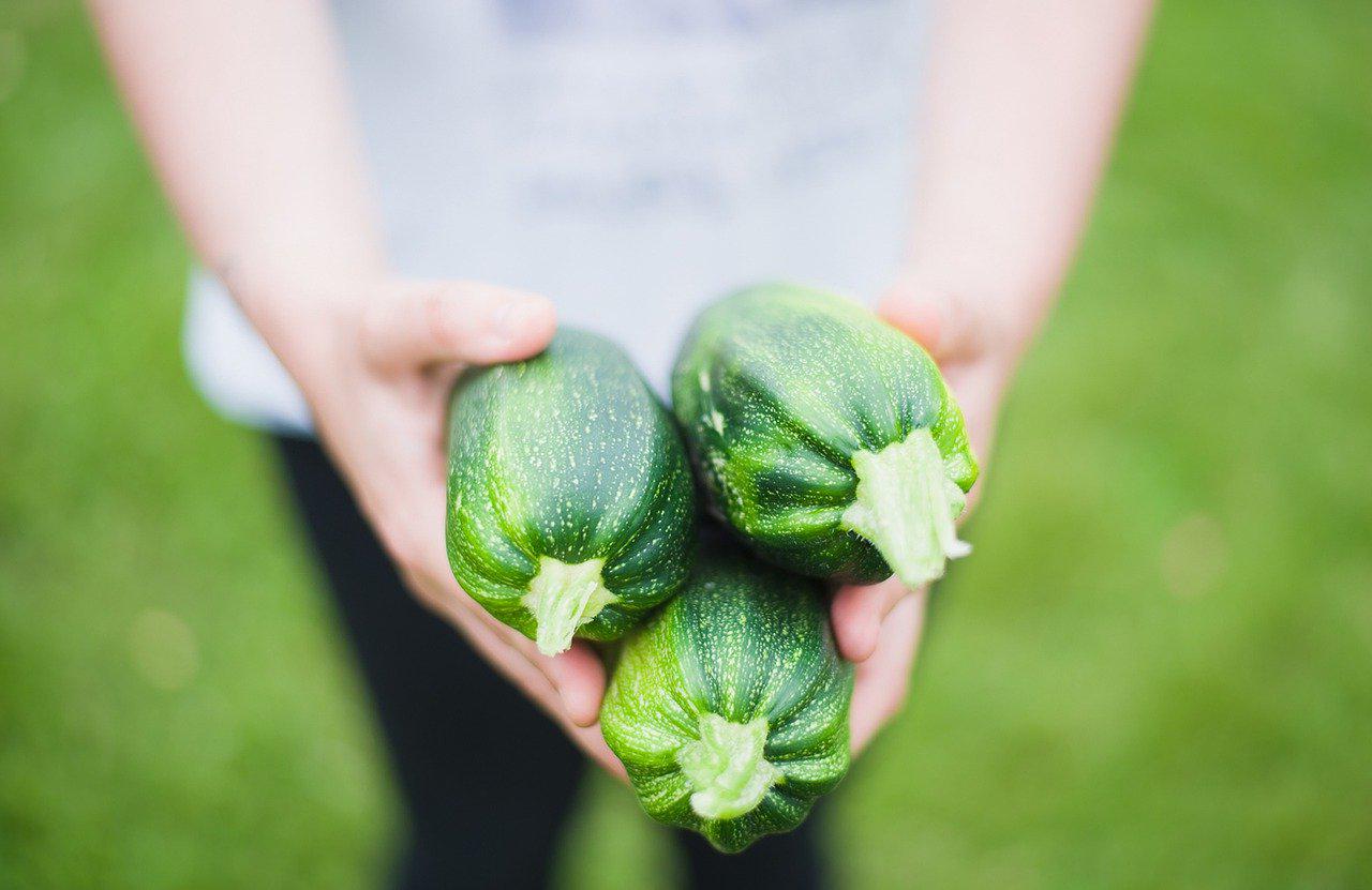 Les bienfaits de la courgette - Gamm vert