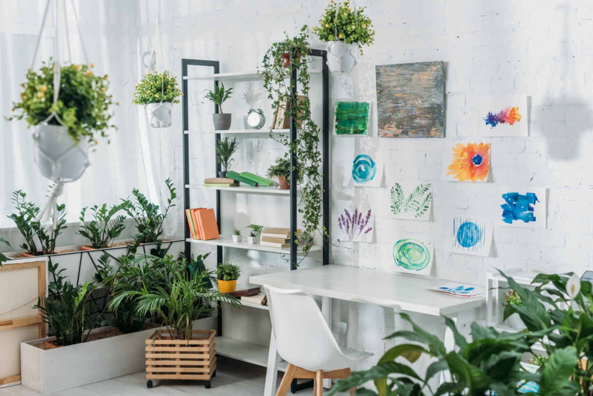 Jardin hiver conseils