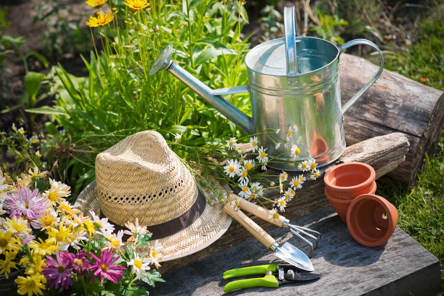 Jardin sans entretien