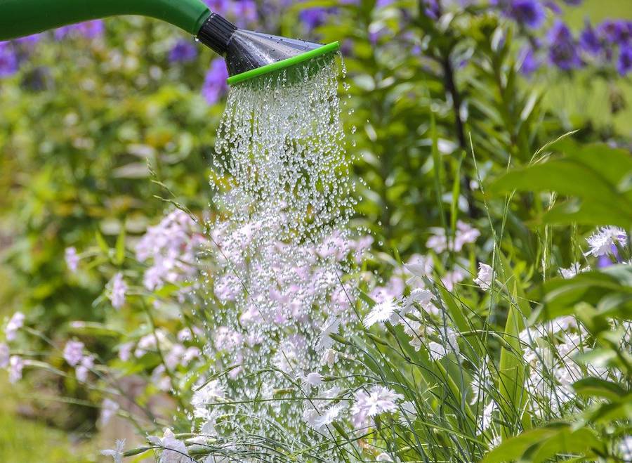 Systèmes d'arrosage: En été, ne laissez pas votre jardin et vos plantes  souffrir de la sécheresse