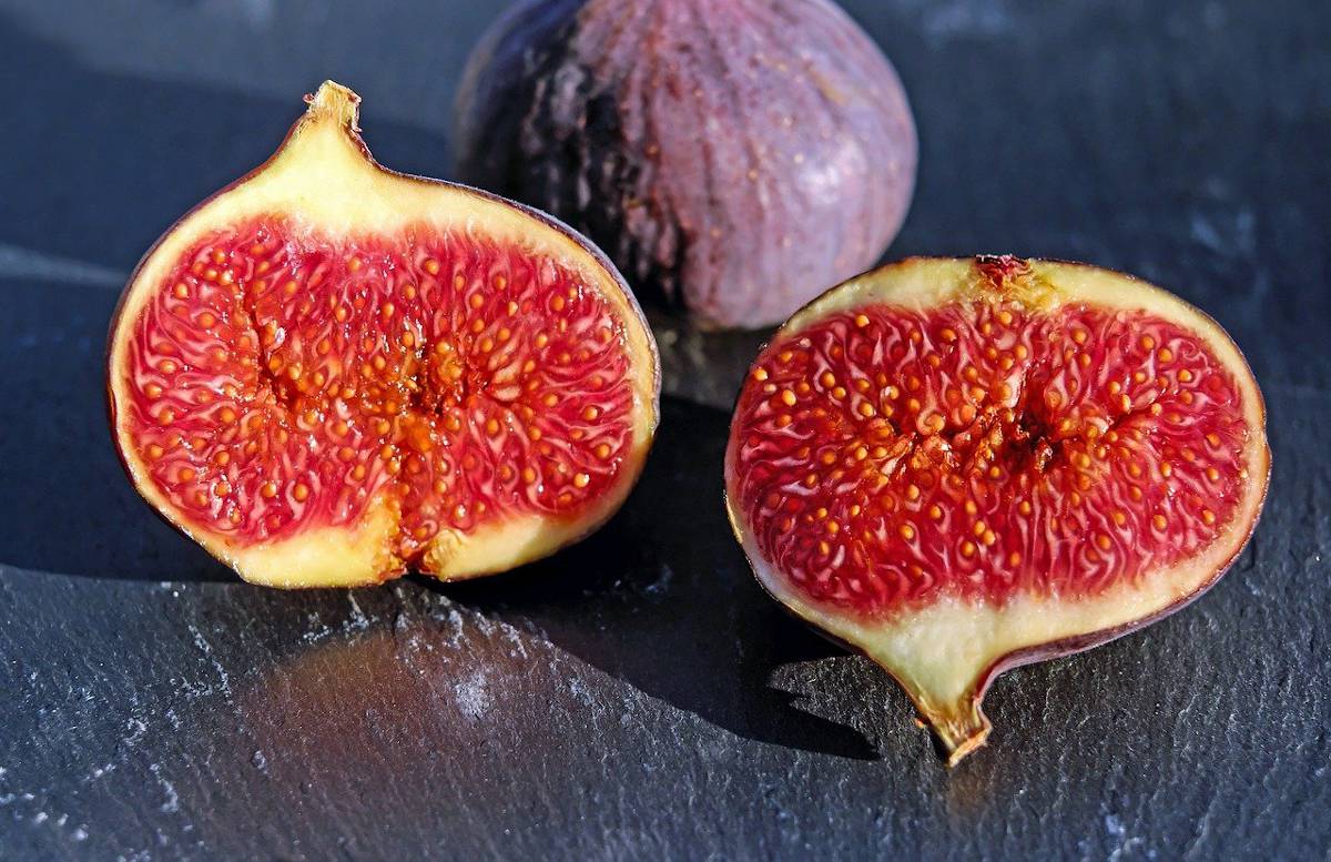 La figue est le fruit du figuier (Ficus carica), une espèce de ficus originaire de Syrie, d’Afghanistan et du Bassin méditerranéen, qui offre de nombreux bienfaits et vertus pour la santé.
