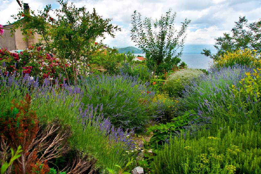 jardin au Bord de mer