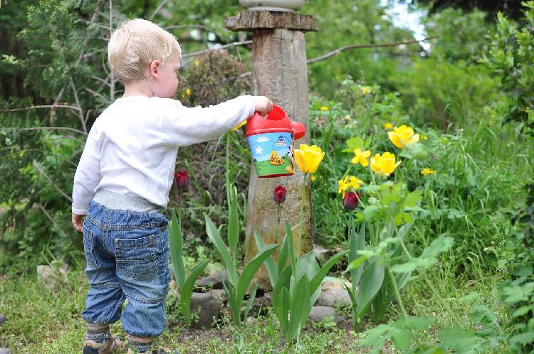 Un jardin avec des jeux pour les enfants – Jardiner Malin