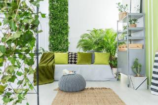 plantes pour jardin hiver interieur serre