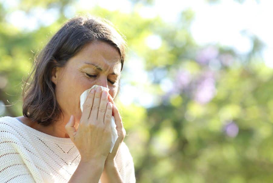 Plantes allergenes a eviter