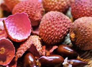 faire germer noyau litchi