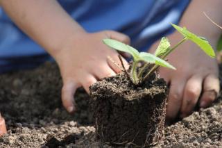 utilisation compost