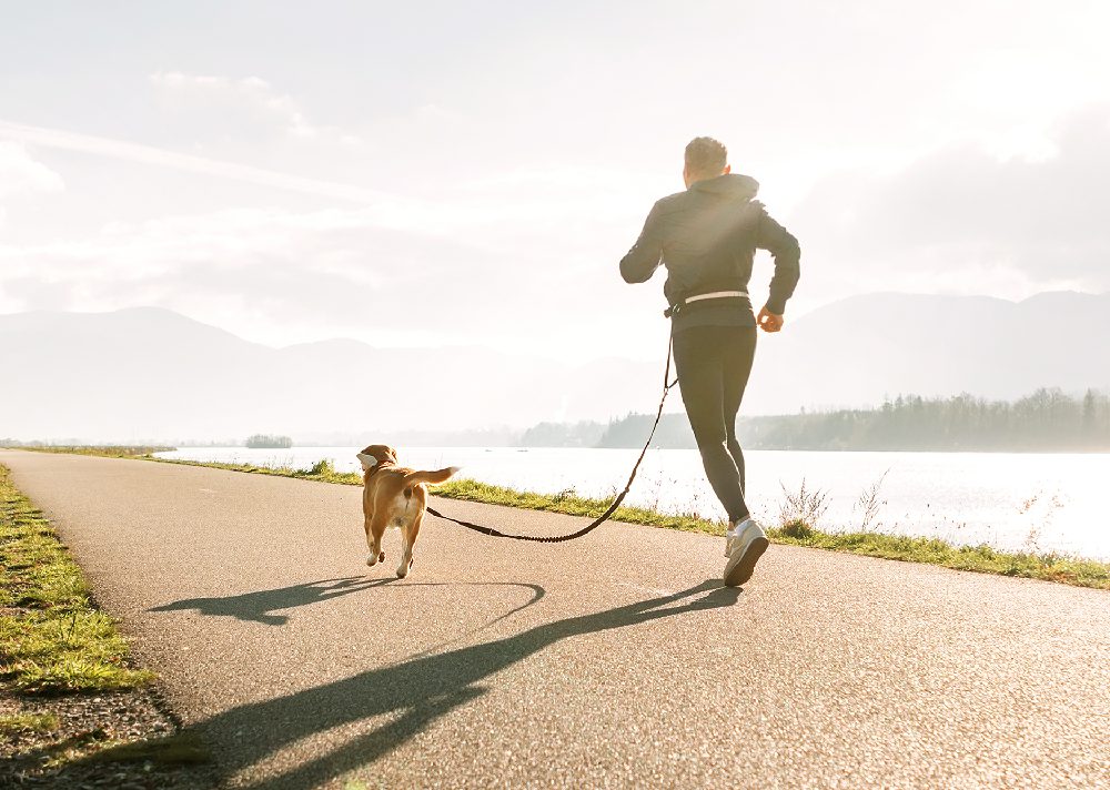 Canicross : le plaisir de courir avec son chien