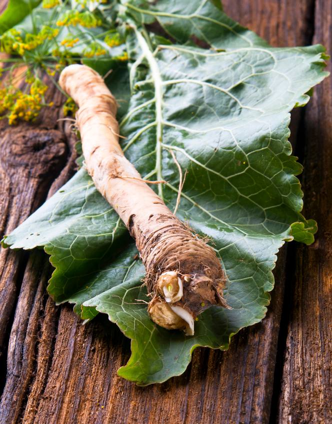 Raifort : une racine à la saveur piquante