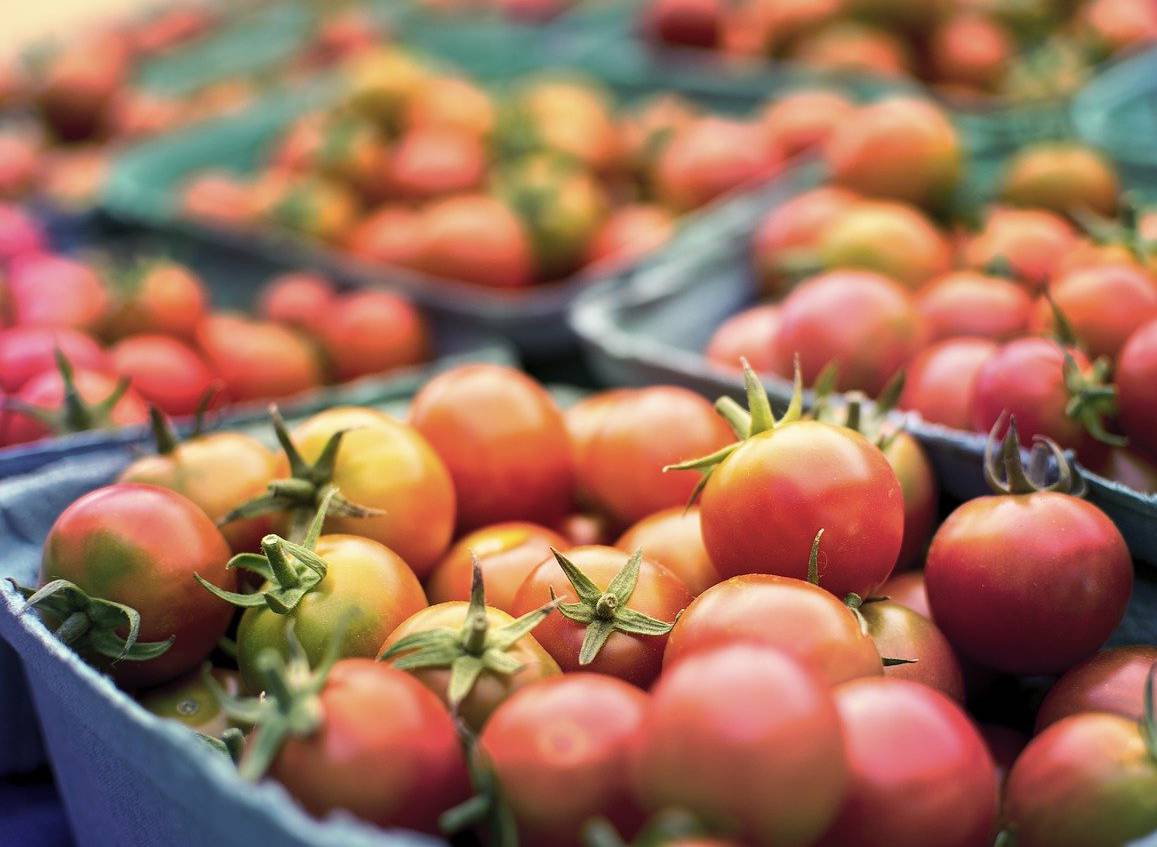 Tomate fruit ou legume