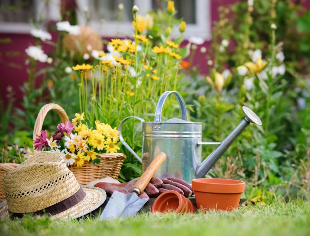 travaux jardinage octobre