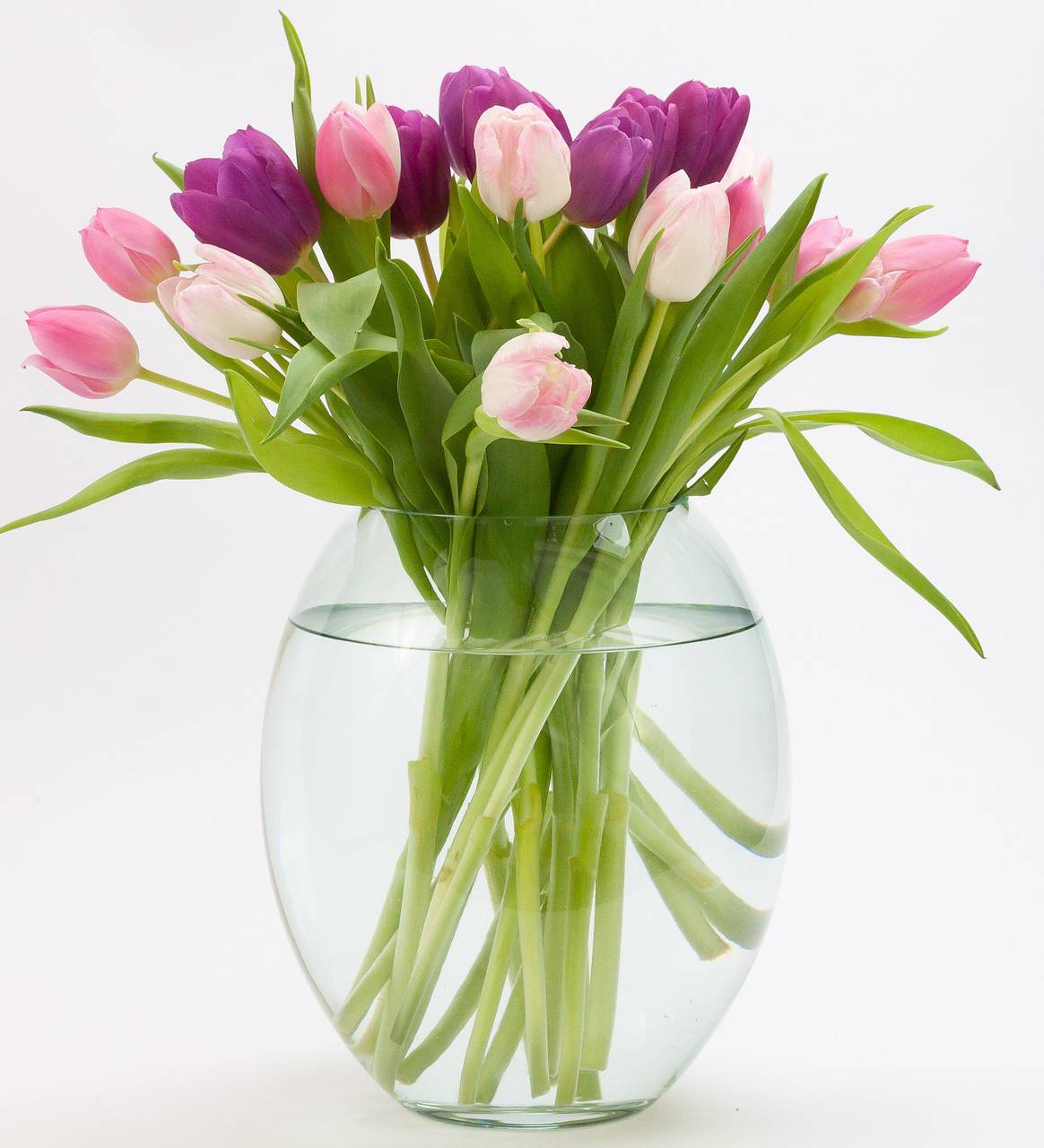 Conserver et faire durer un Bouquet de Tulipes en vase