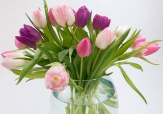 faire durer bouquet tulipe en vase