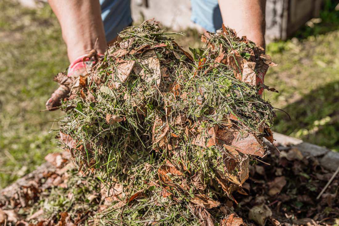 Image Composteur en bois avec des déchets de jardin et des tontes de  pelouse fraîches sur une surface pavée dans le jardin - 474075 - Images de  plantes et de jardins - botanikfoto