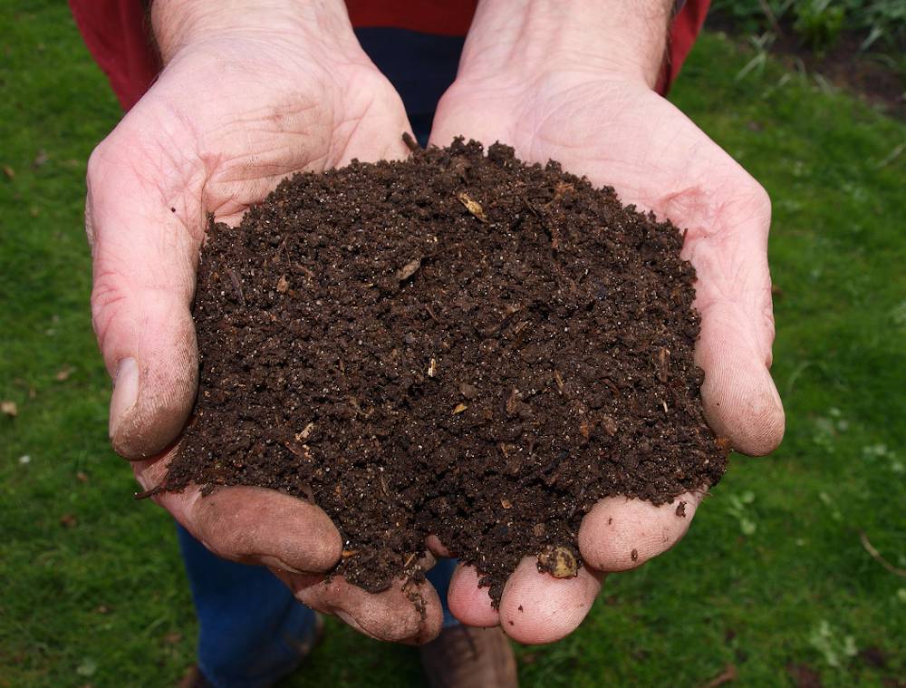 Activateurs naturel de compost : 4 astuces simples pour un compost de  qualité