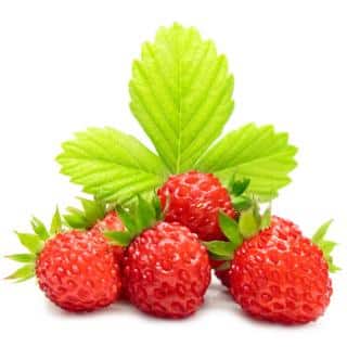 Fraise framberry fraisier