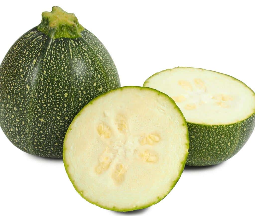 Semis de courgette Quand et comment les réussir