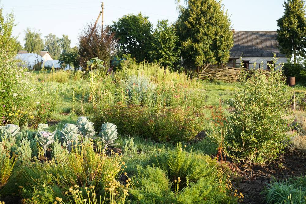 Permaculture definition - qu'est ce que c'est