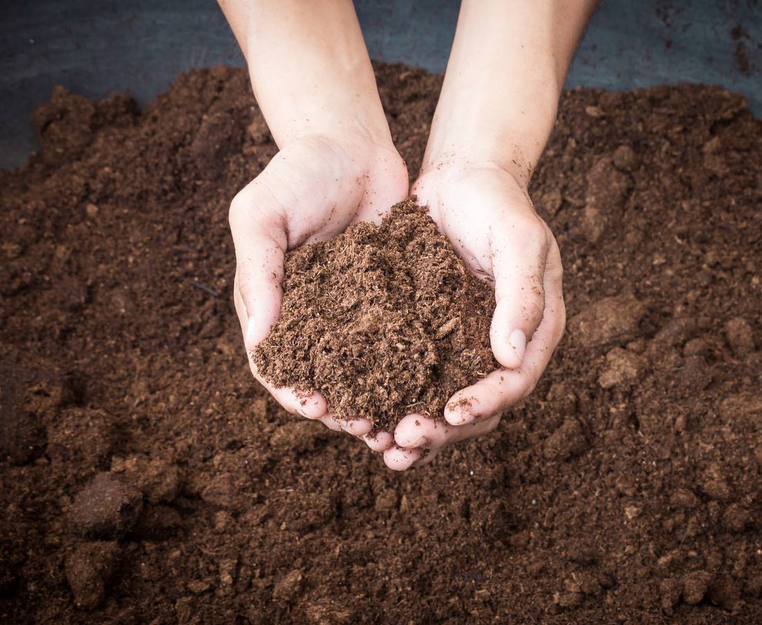 5 façons d'utiliser de la tourbe dans votre jardin