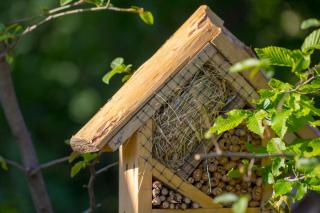 abri animaux insecte jardin