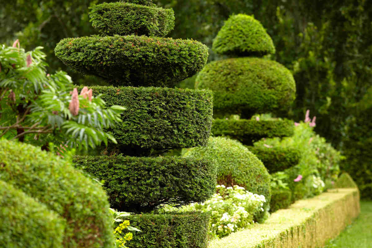 Jardin a la francaise