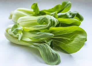 pak choi culture