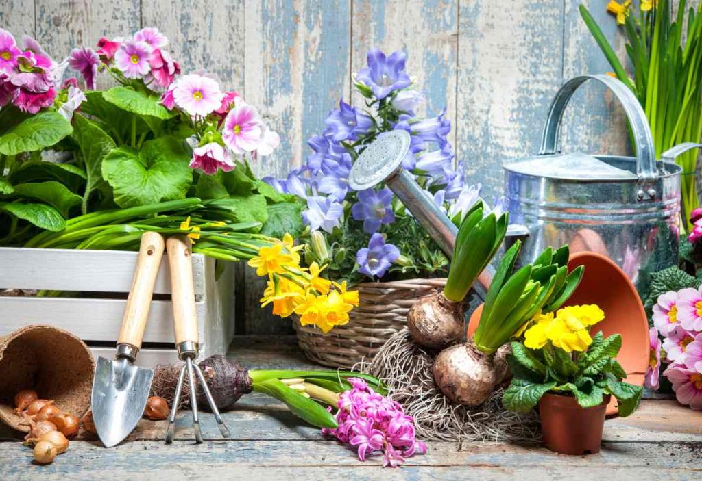 fleurs de printemps pour jardiniere