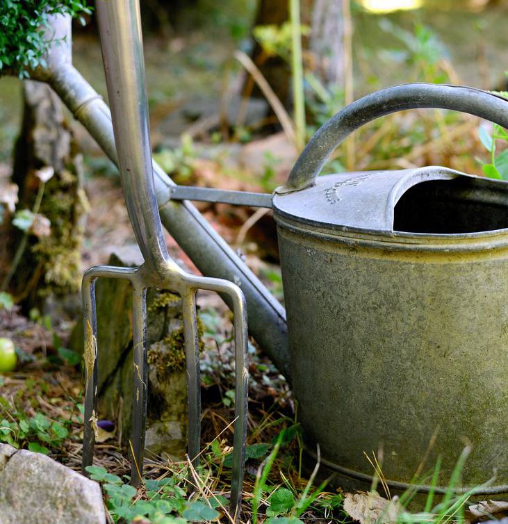 La fourche-bêche : définition et utilisation au jardin