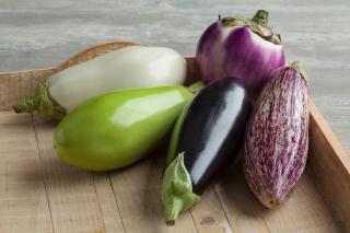 aubergine varietes