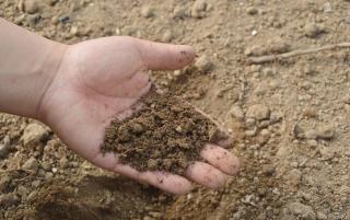 comment connaitre terre calcaire