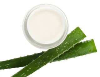 aloe vera bienfaits peau cheveux