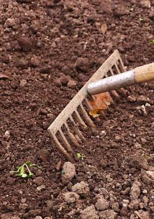 preparation terre potager hiver