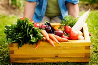 Les récolte au potager en septembre