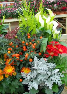 jardiniere balconniere potée automne