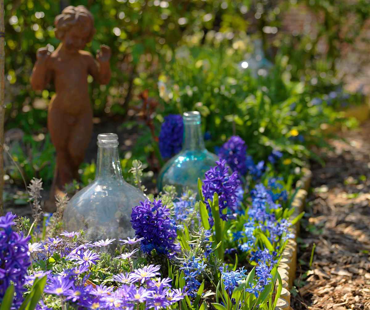 Jardin bleu : idées de plantes et massif de couleur bleue