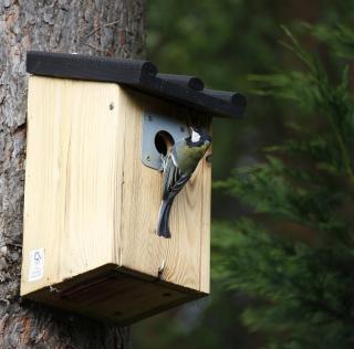 Attirer oiseau jardin nichoir