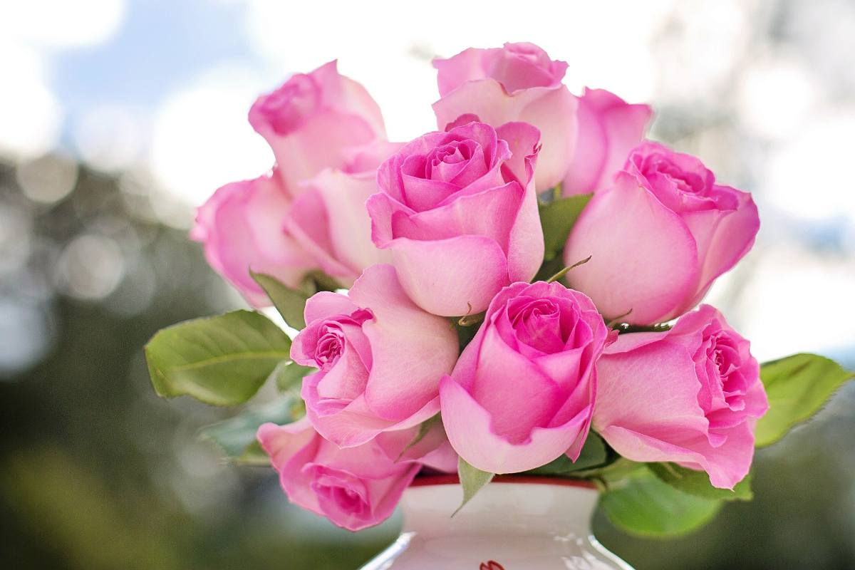 bouquet roses coupées