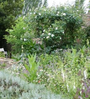 composition fleurs blanche - jardin blanc