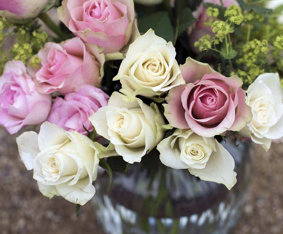 Conserver les fleurs coupées