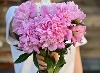 Bouquet de pivoine