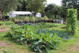 Permaculture printemps potager