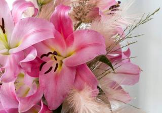 bouquet lys conservation