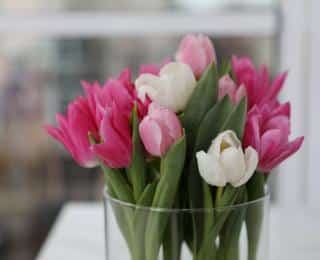 bouquet tulipe vase