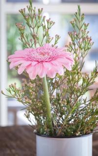 Bouquet Gerbera conservation entretien