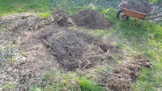 Butte de permaculture branche