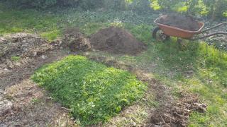 Butte de permaculture harbe tonte